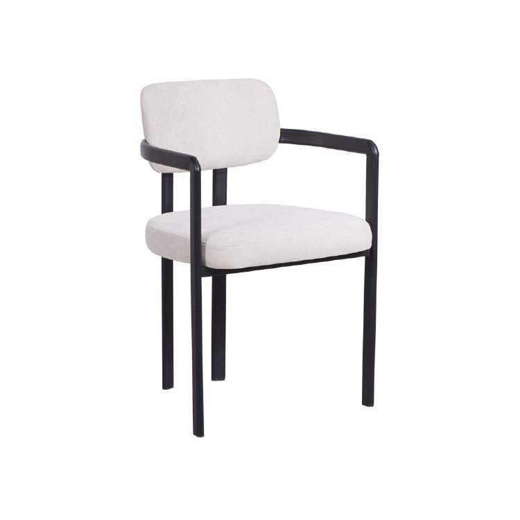 Lounge Chairs LR-049