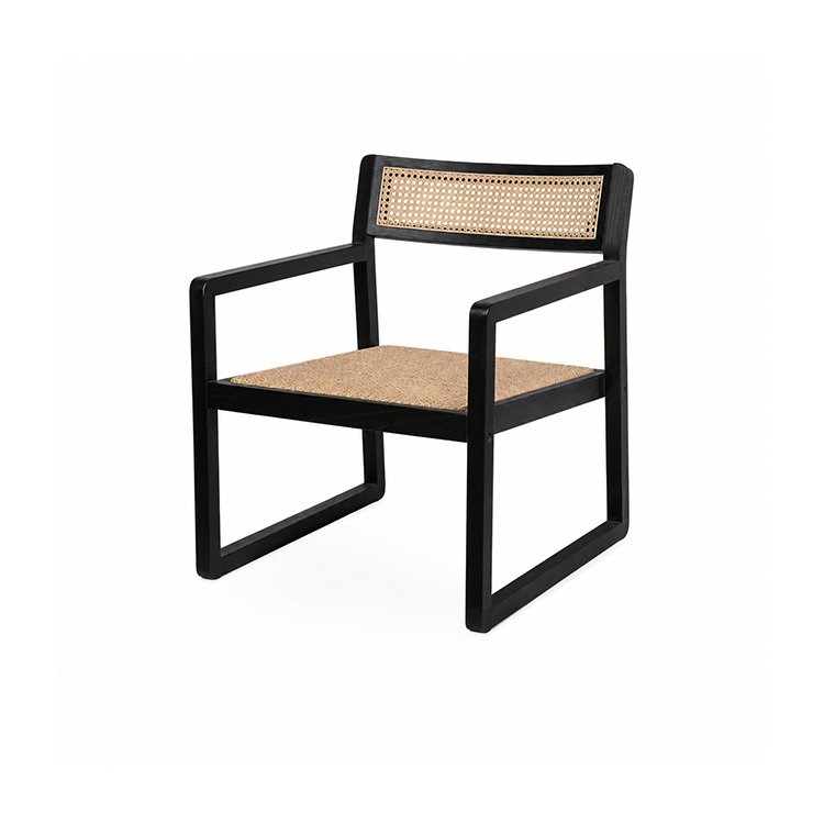 Lounge Chairs LR-259