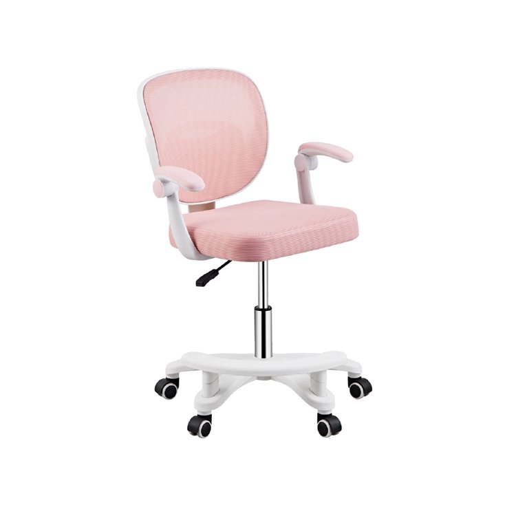 Office Desks & Chairs OG-053